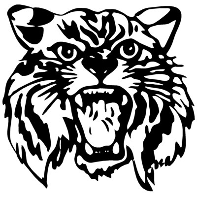 Bobcat